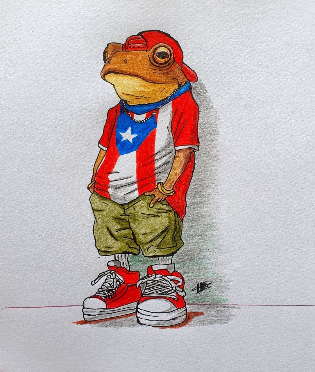 Frog in a Puerto Rico tee and red sneakers